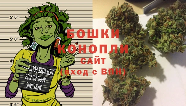 молекула духа Рославль