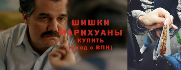 молекула духа Рославль