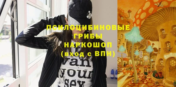 молекула духа Рославль