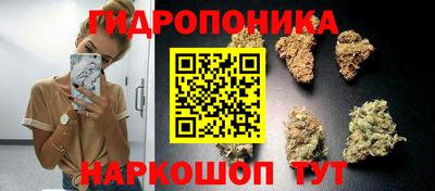a pvp Гай