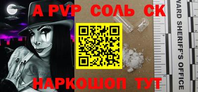 ECSTASY Гатчина