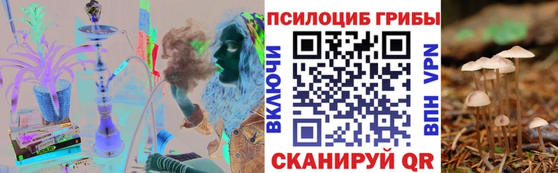 мориарти Telegram  цены   Камень-на-Оби  Псилоцибиновые грибы MAGIC MUSHROOMS 