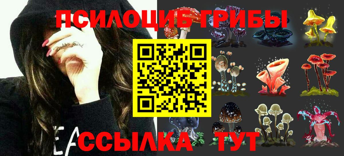 Псилоцибиновые грибы MAGIC MUSHROOMS  Вход с VPN  Камень-на-Оби 
